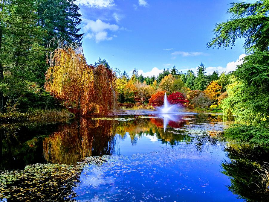 Beautiful Colors of Autumn Photograph by Darrell MacIver - Fine Art America