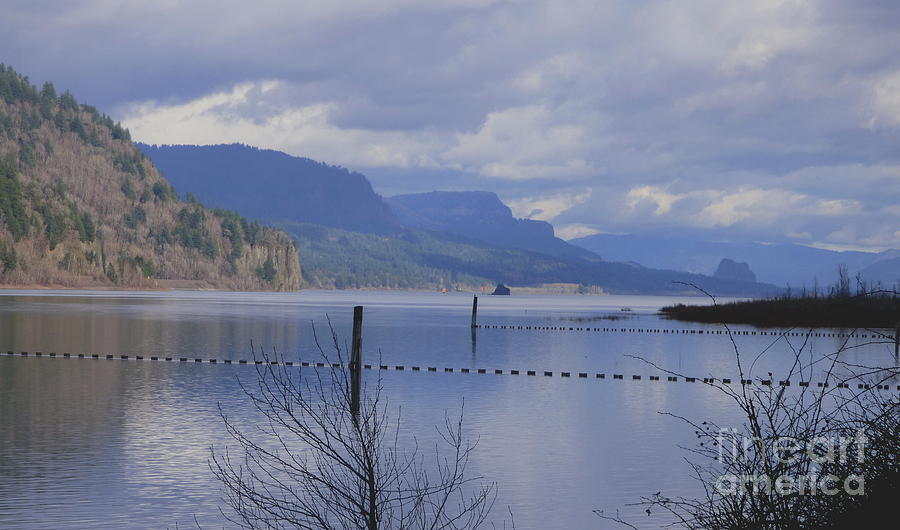 Beautiful Columbia River Photograph by Charles Robinson