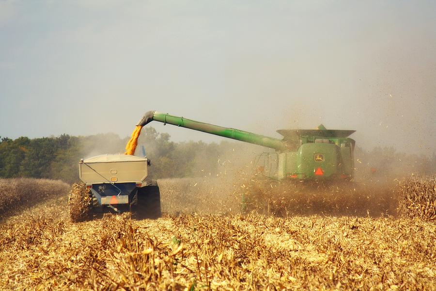 Corn Harvest Photograph - Beautiful Corn Harvest by Goldie Pierce Corn Harvest Photograph - Beautiful Corn Harvest by Goldie Pierce