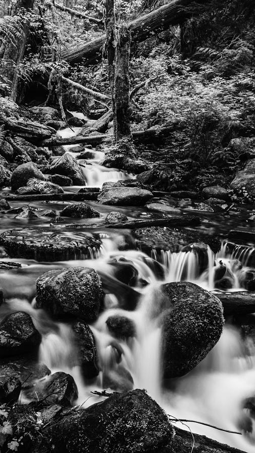 Beautiful creek in Columbia River Gorge in black and white  Photograph by Vishwanath Bhat
