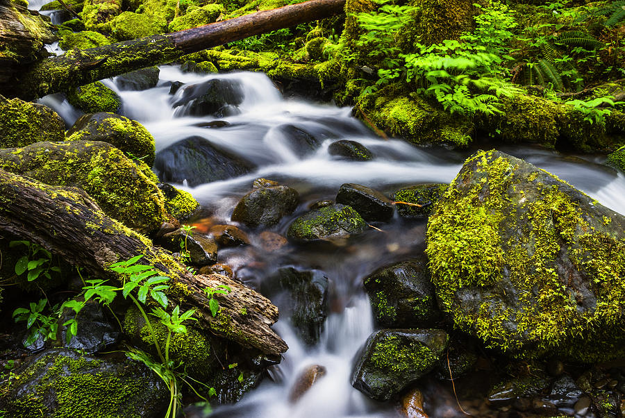 Beautiful Creek in Columbia River Gorge Oregon Photograph by Vishwanath Bhat