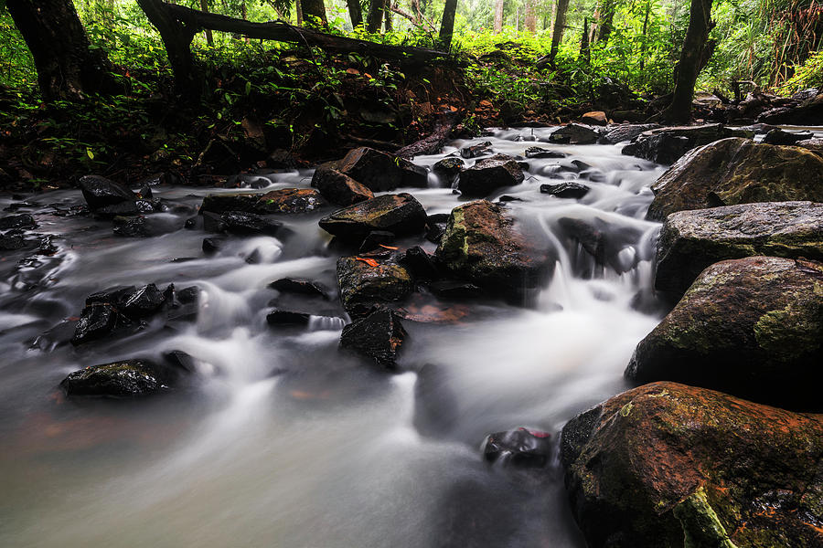 Beautiful creek in Western Ghats region of Karnataka state India Photograph by Vishwanath Bhat