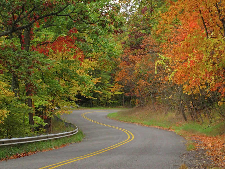 Beautiful Curves Photograph by Todd Maertz | Fine Art America