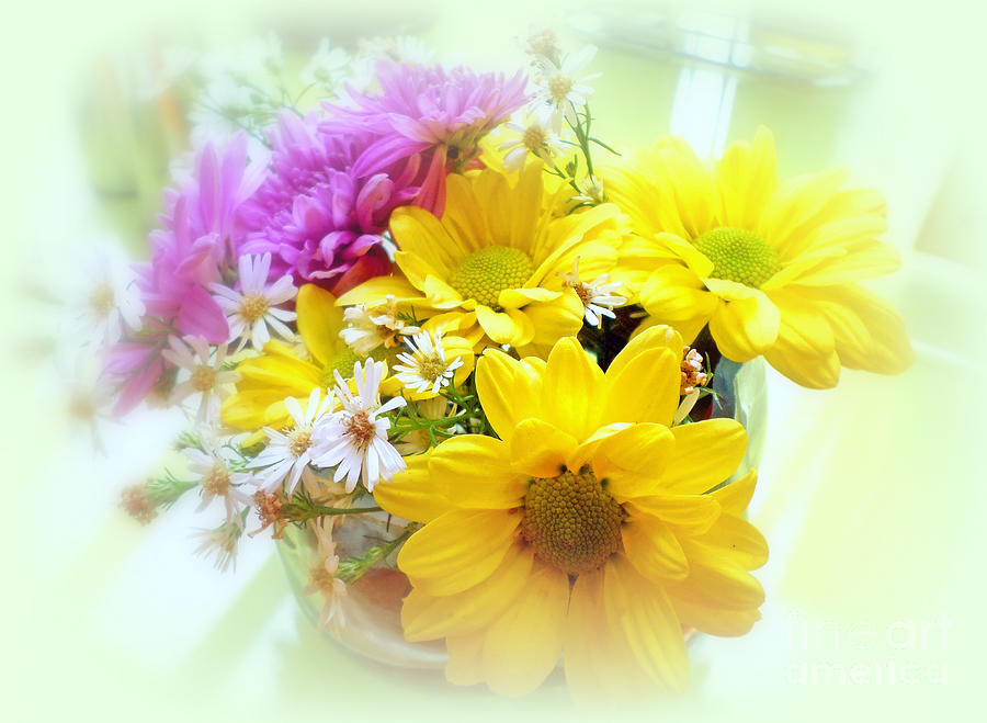 Beautiful Daisy Floral Photograph by Kay Novy