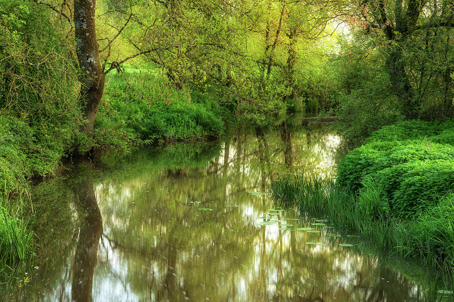 Beautiful dawn landscape image of river flowing through lush gre ...