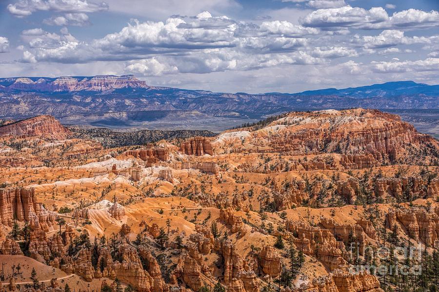 Beautiful Day in Bryce Canyon Photograph by Peggy Hughes