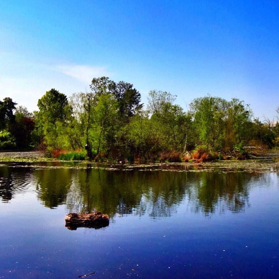 Beautiful Day On The Lake Photograph by Kelly Hasenoehrl - Fine Art America