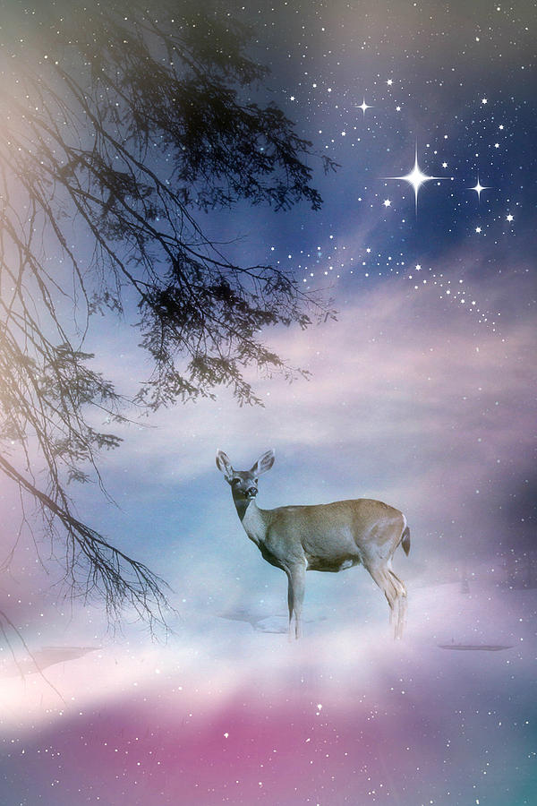 Beautiful Deer and Snow Christmas Holiday Photograph by Stephanie Laird