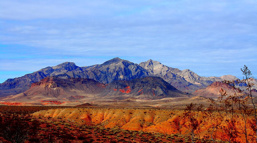  Beautiful Desert Photograph by Barbara Teller