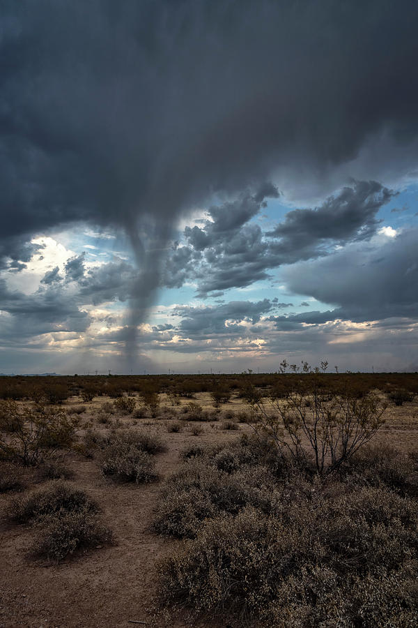 Beautiful Desert Rains  Photograph by Saija Lehtonen