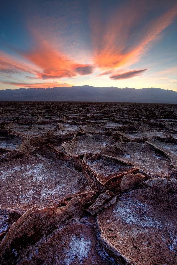 Beautiful Desolation Photograph by David Andersen