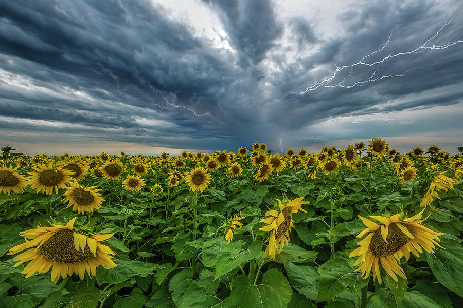 Beautiful Disaster  Photograph by Aaron J Groen