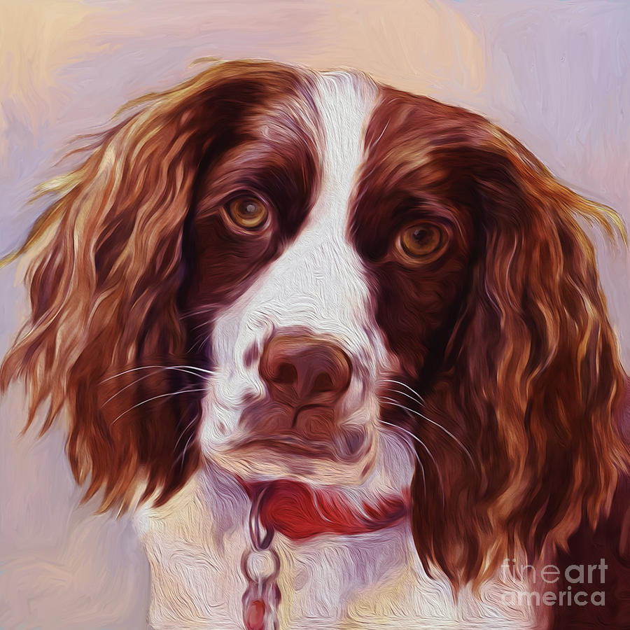 Beautiful  Dog01 Painting by Gull G