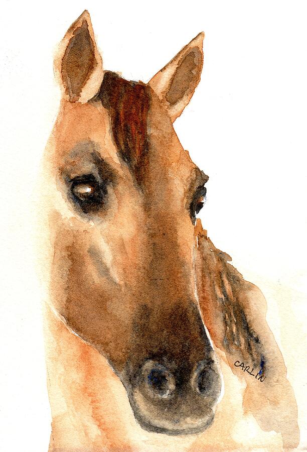 Beautiful Dun Horse Watercolor Painting by Carlin Blahnik CarlinArtWatercolor