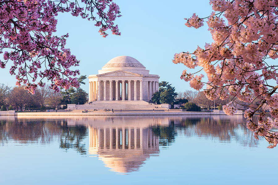 Beautiful early morning Jefferson Memorial Photograph by Steven Heap