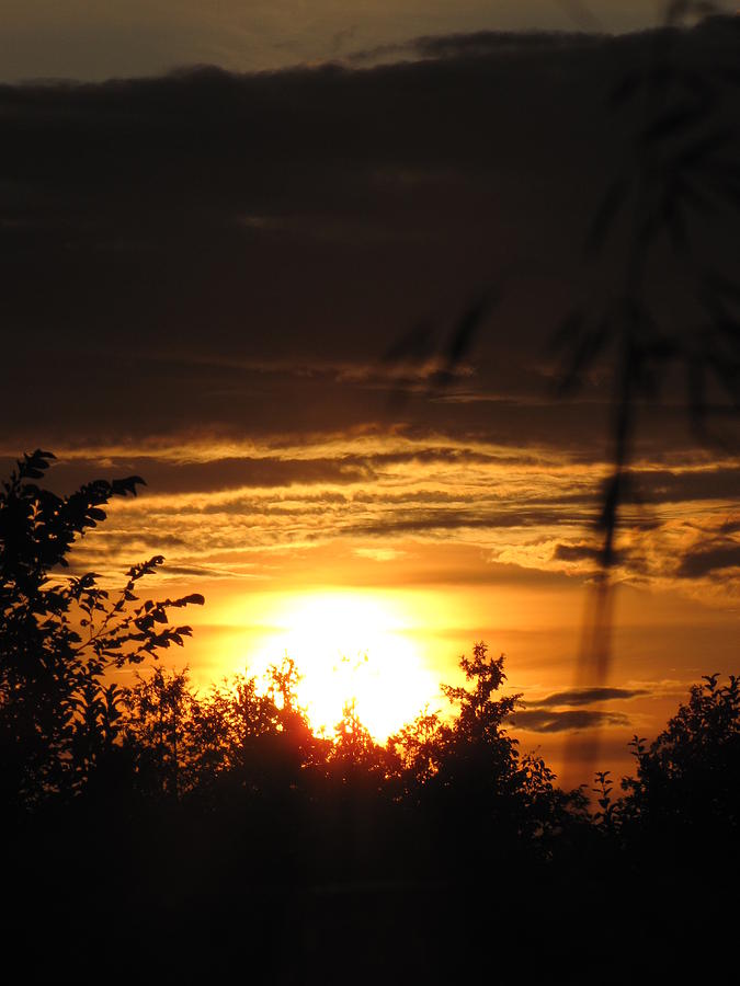 Sunset Photograph - Beautiful End of Day by Johanne Hammond