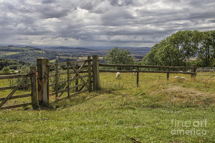 Beautiful English landscape Photograph by Patricia Hofmeester