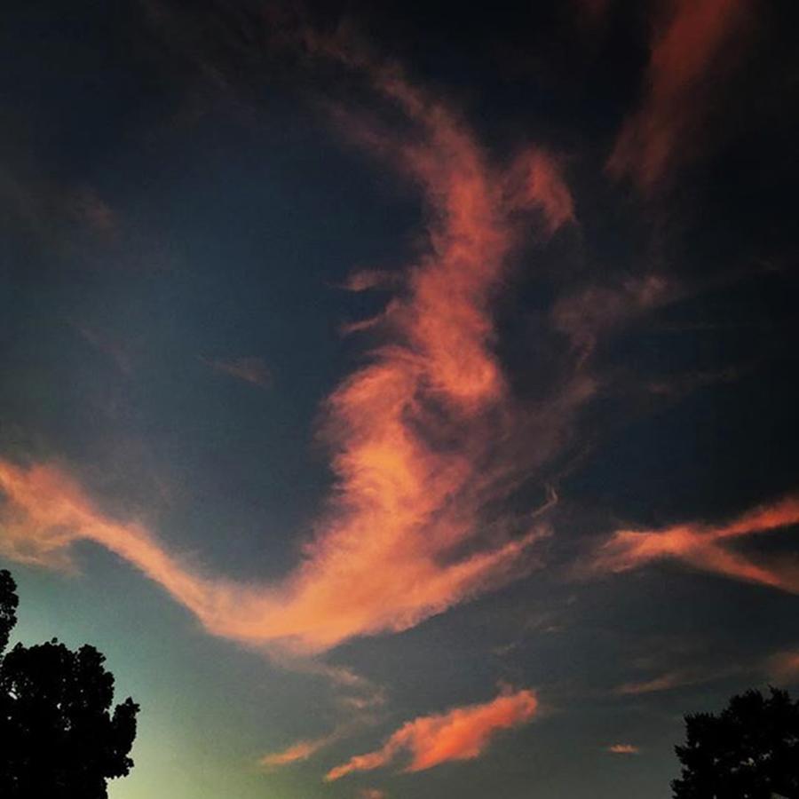 Sunset Photograph - Beautiful Evening Here In Houston by Percy Bohannon