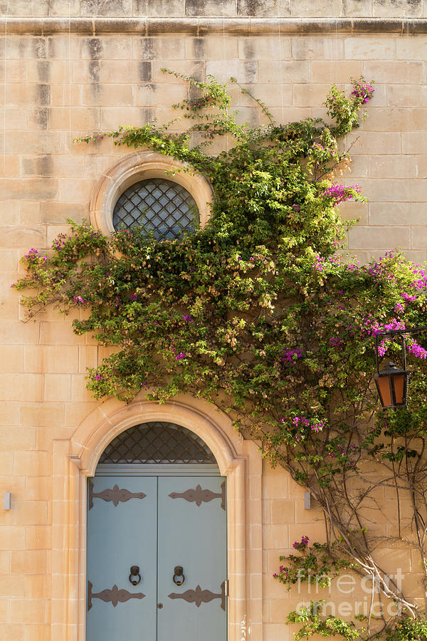 Beautiful facade with flowering plant, Mdina, Malta Photograph by The ...