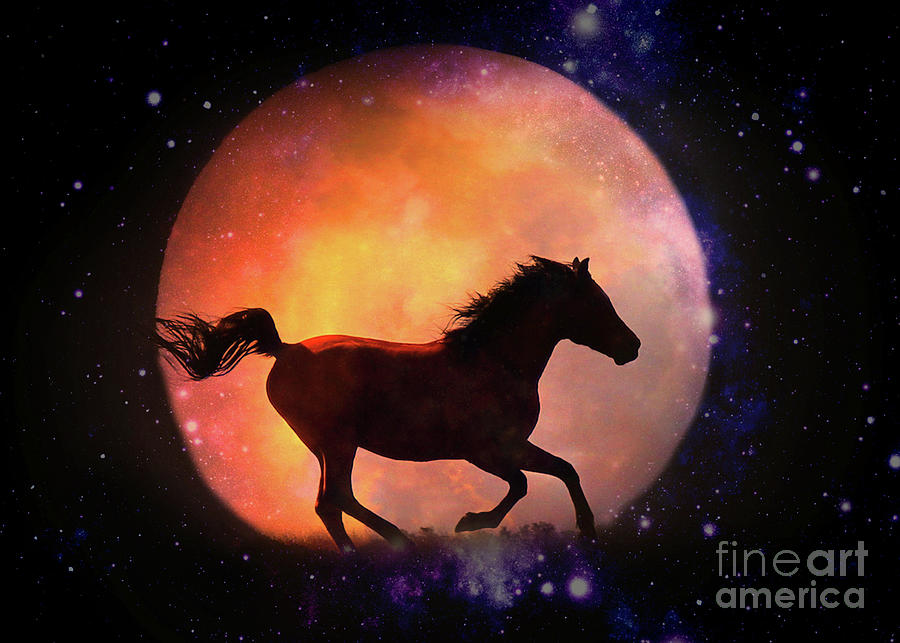 Beautiful Fantasy Horse and Moon, Running Horse Fine Art Photograph by Stephanie Laird