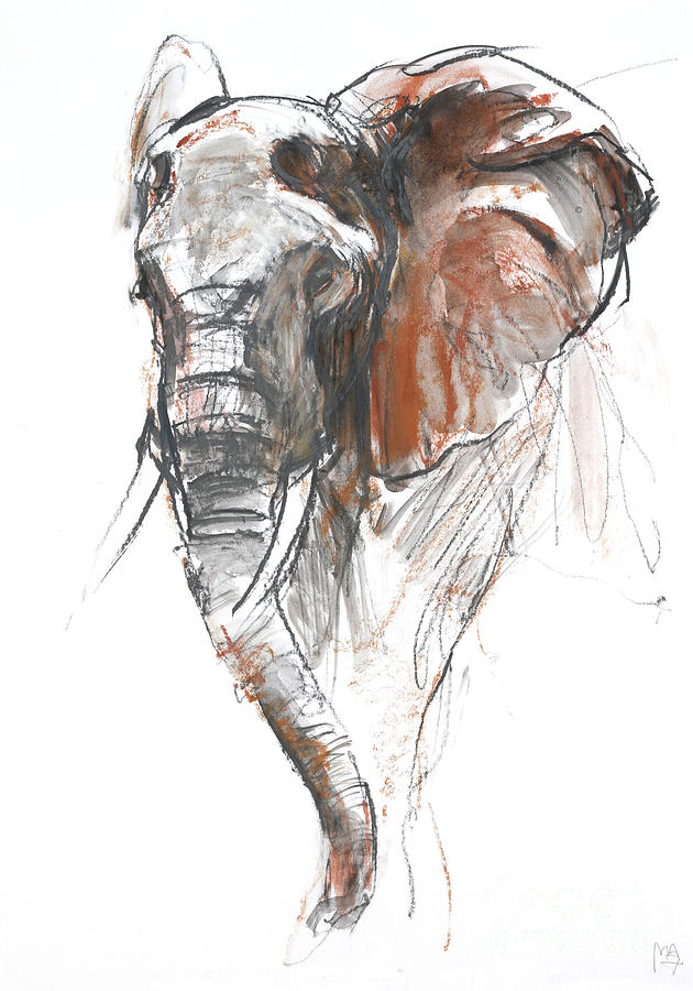 Elephant Painting - Beautiful Female Loisaba by Mark Adlington
