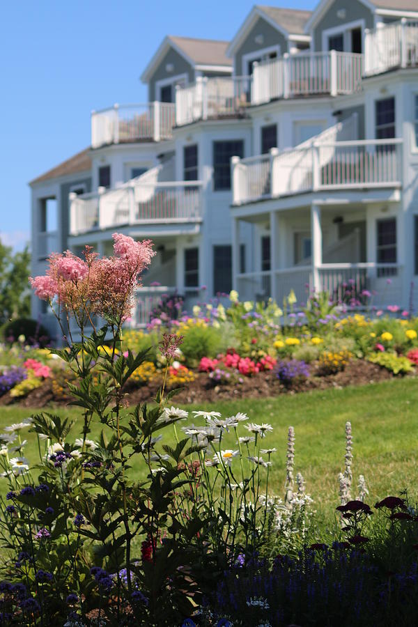 Beautiful Flowers At The Bar Harbor Inn Photograph by Living Color Photography Lorraine Lynch