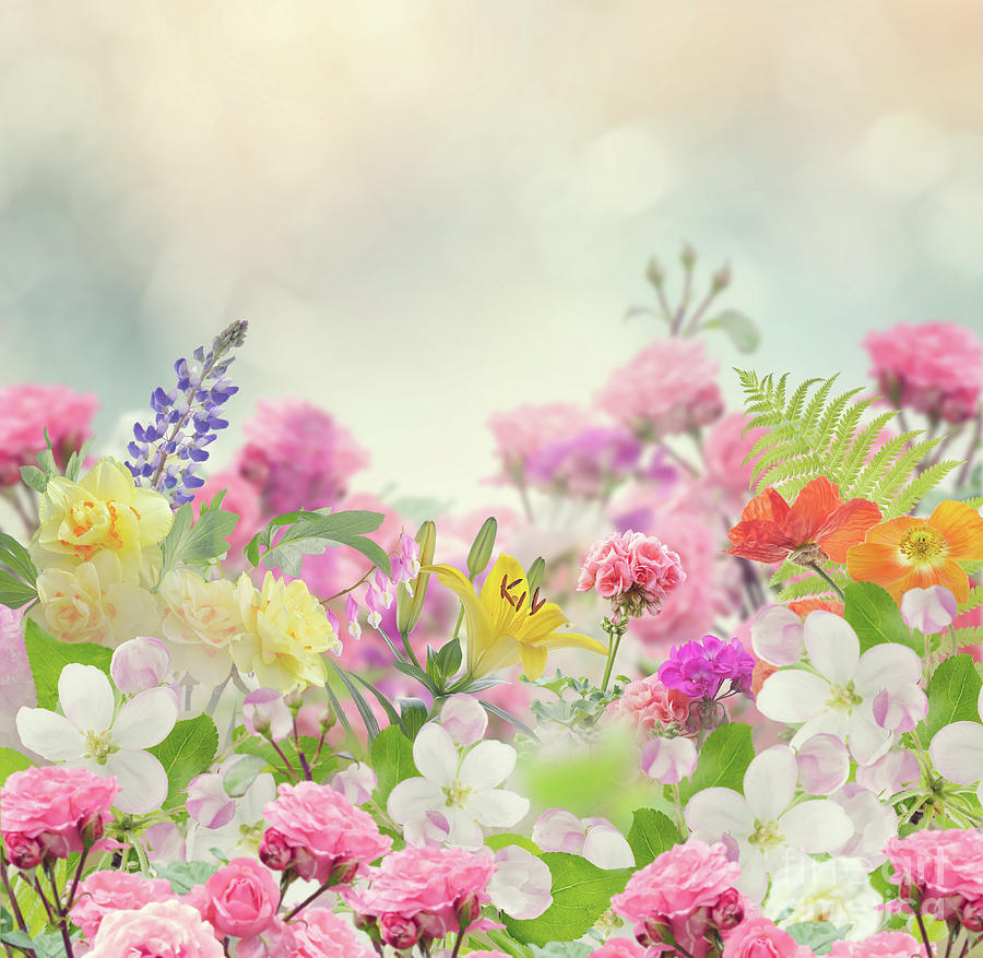 Beautiful Flowers Background Photograph by Svetlana Foote - Fine Art ...