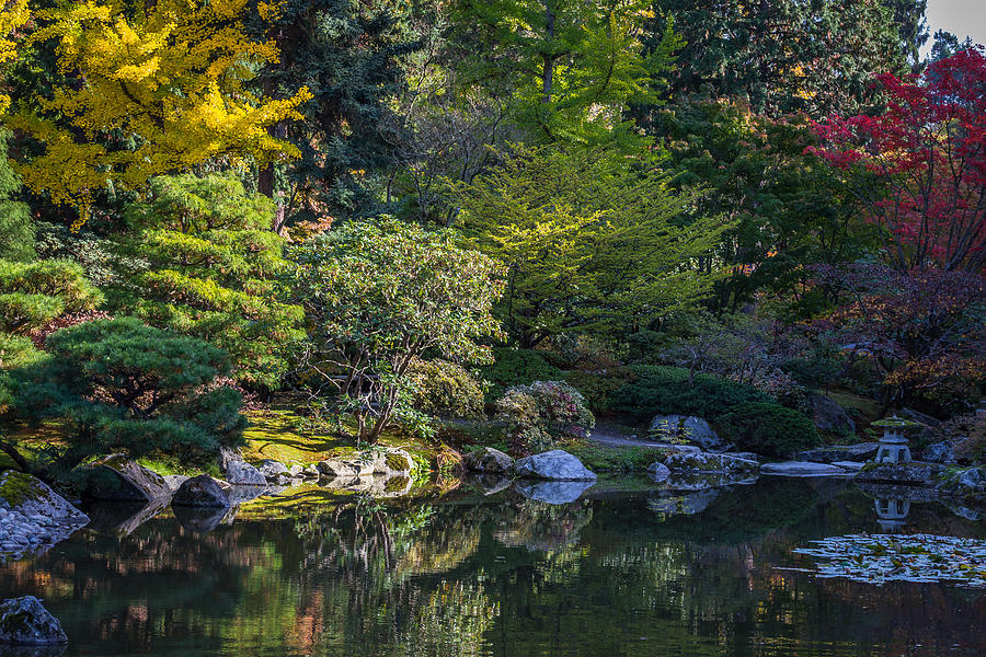 Beautiful Garden Photograph by Calazone's Flics - Fine Art America