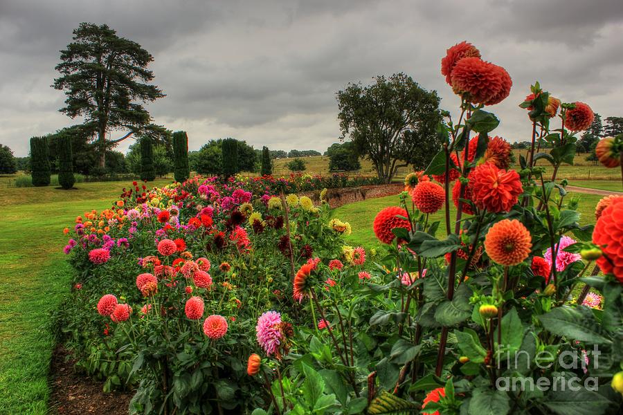 Beautiful Garden in HDR Photograph by Vicki Spindler