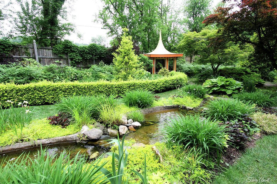 Beautiful Garden with Pagoda Photograph by Trina Ansel