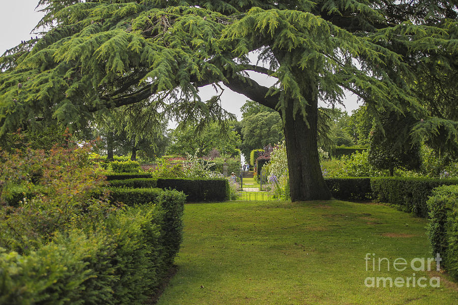 Beautiful gardens Photograph by Patricia Hofmeester
