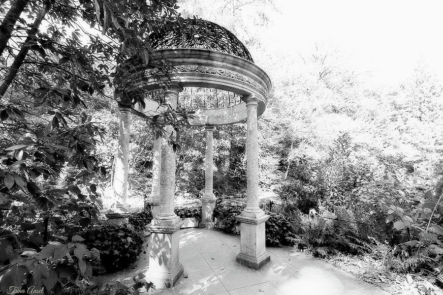 Beautiful Gazebo in Black and White Photograph by Trina Ansel
