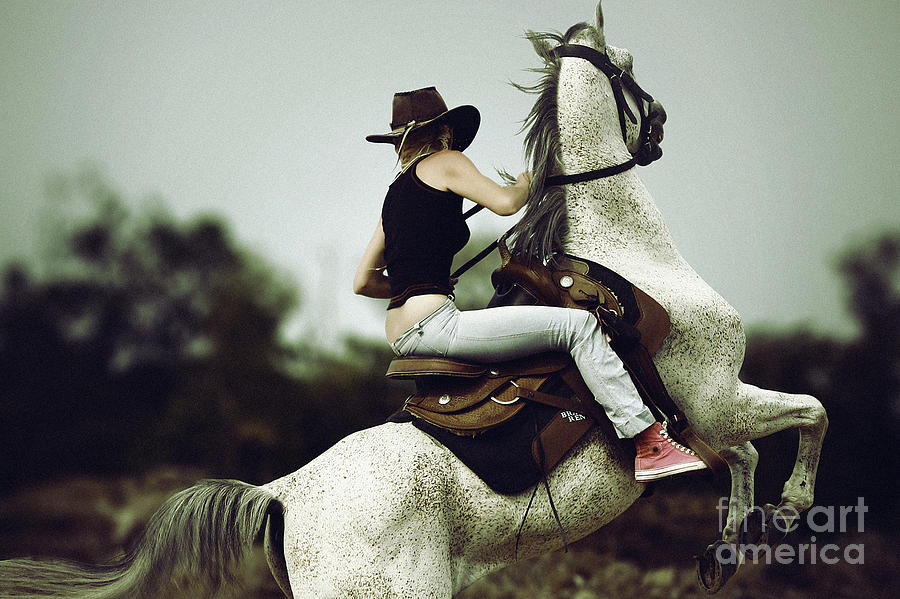 Beautiful girl ridingwhite horse Photograph by Dimitar Hristov