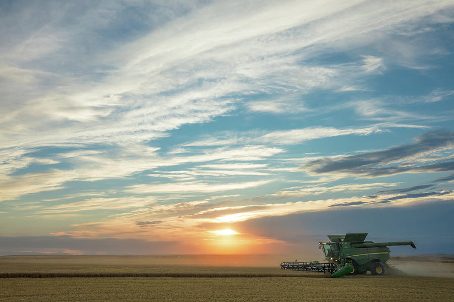 Beautiful Harvest Photograph by Todd Klassy