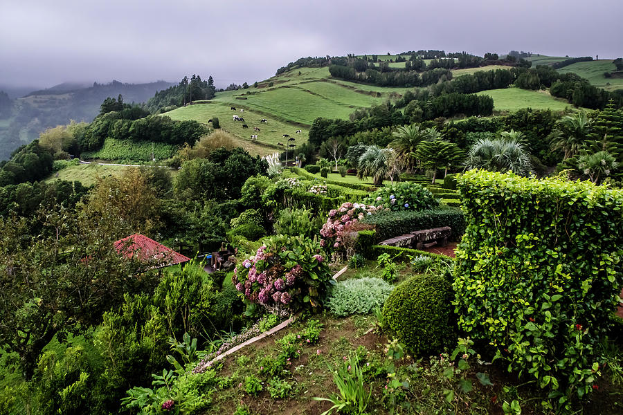 Beautiful hills in the Azores Photograph by Sven Brogren