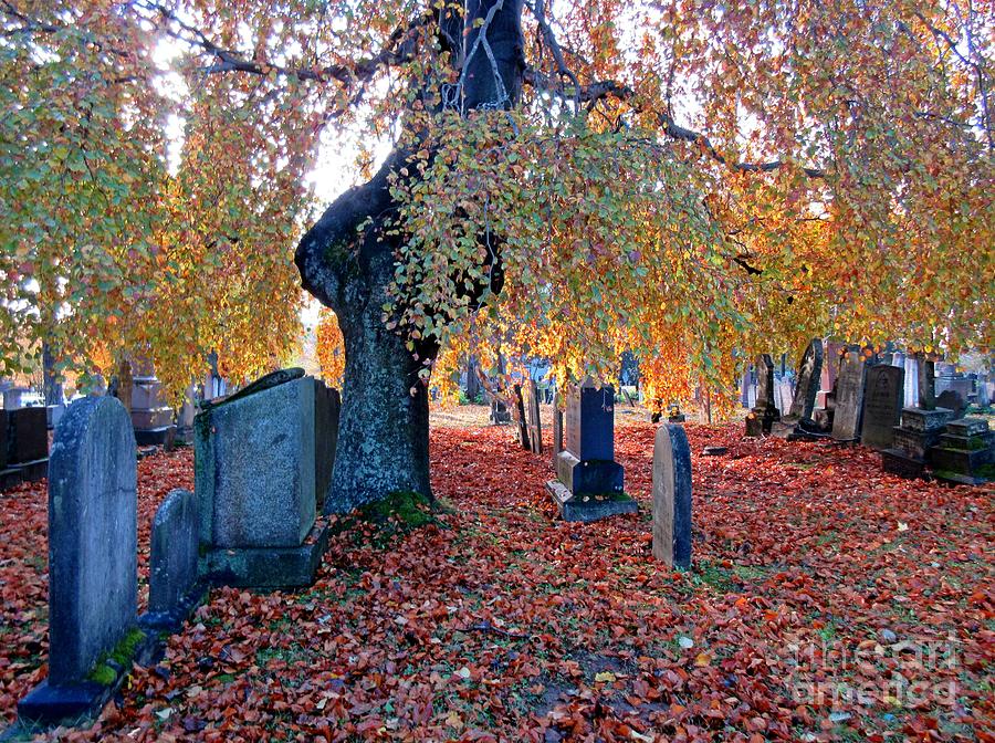 Fall Photograph - Beautiful Historic Camp Hill Cemetery Halifax Nova Scotia by John Malone