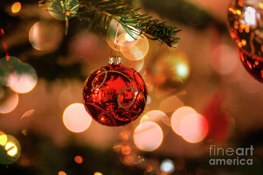 Beautiful holiday background Photograph by Patricia Hofmeester