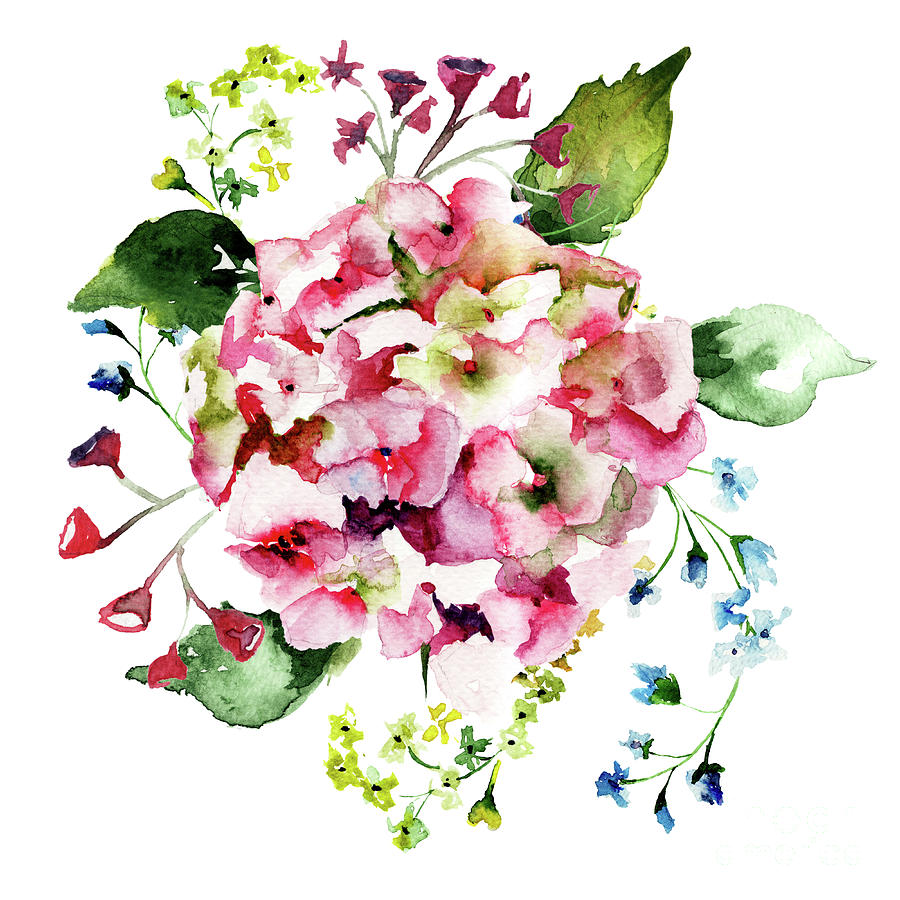 Beautiful Hydrangea flowers Mixed Media by Regina Jershova