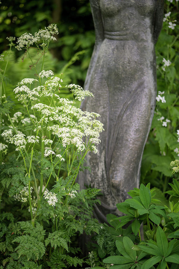 Spring Photograph - Beautiful image of English country garden with wild plants and s by Matthew Gibson