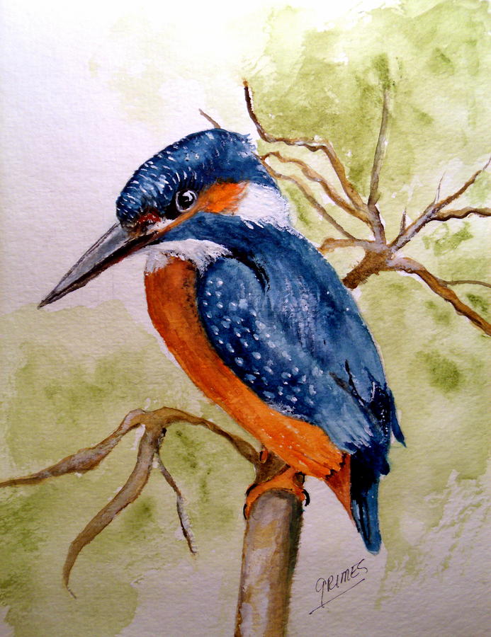Beautiful Kingfisher Painting by Carol Grimes