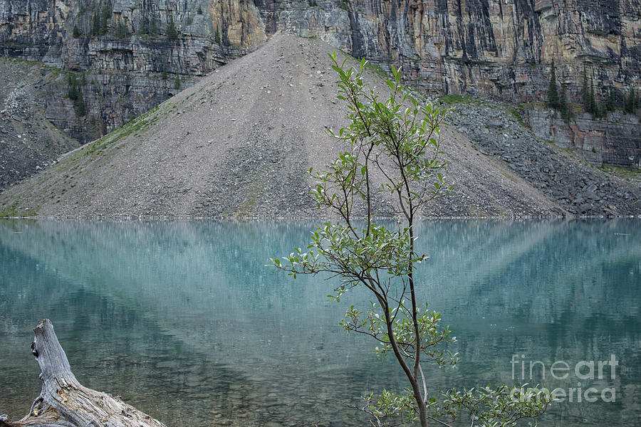 Lake Moraine Photograph by Patricia Hofmeester