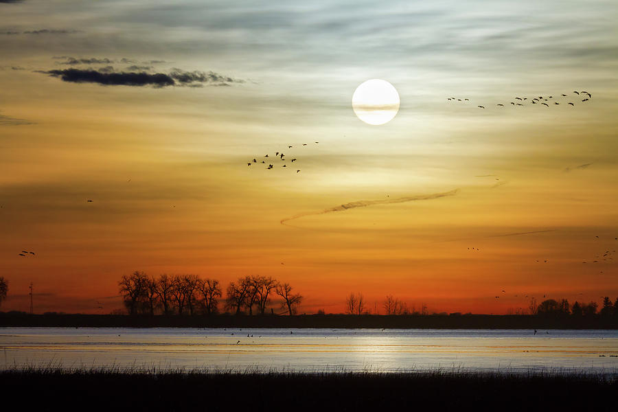 Beautiful Lake Morning Photograph by James BO Insogna