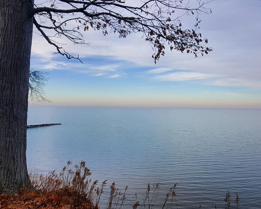 Landscape Photograph - Beautiful Lake Shore by Yazid Ismail Landscape Photograph - Beautiful Lake Shore by Yazid Ismail