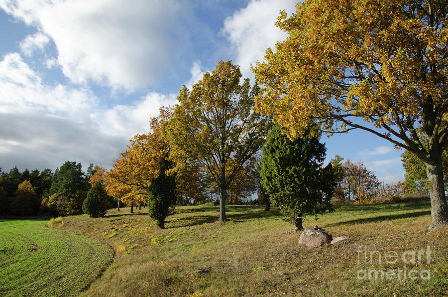 Fall Photograph - Beautiful landscape at fall by Kennerth and Birgitta Kullman