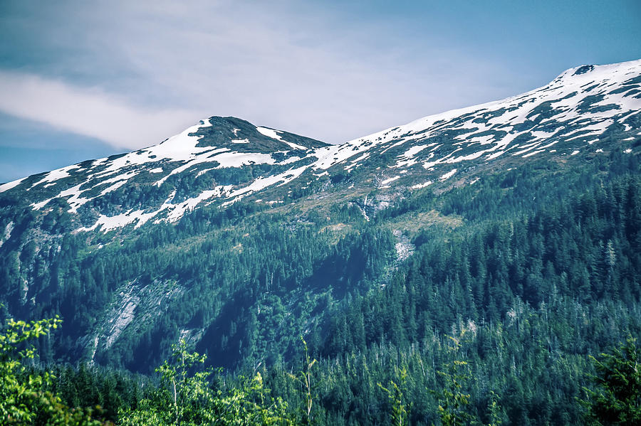 Beautiful Landscape In Alaska Mountains  Photograph by Alex Grichenko