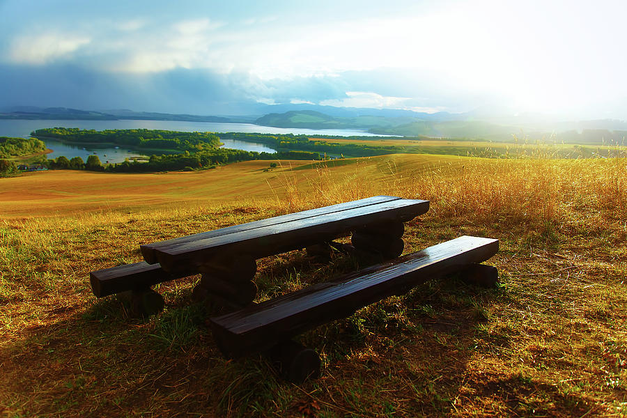 peaceful scenery with benches