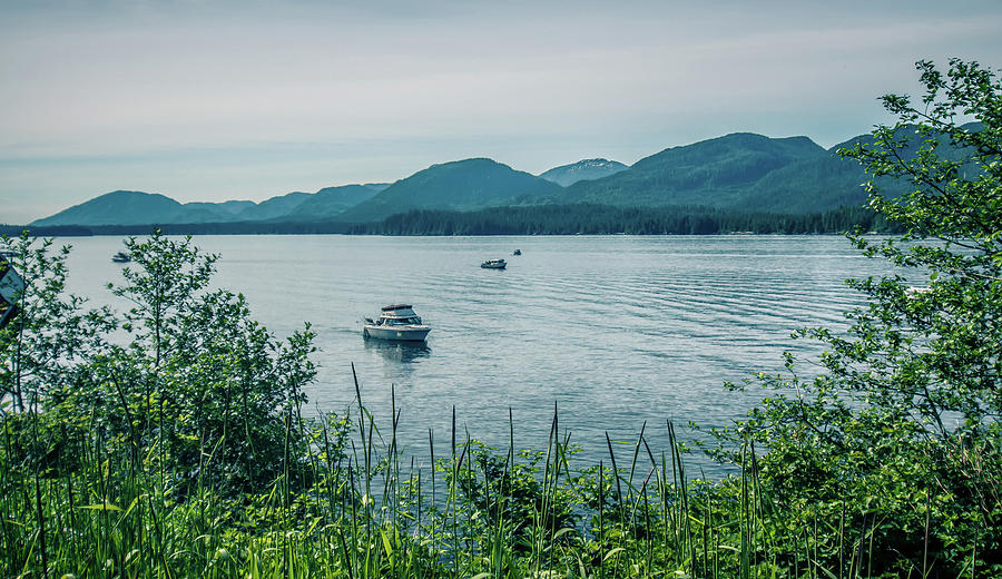 Beautiful Landscapes Around Ketchikan And Tongass Forest In Alas Photograph by Alex Grichenko