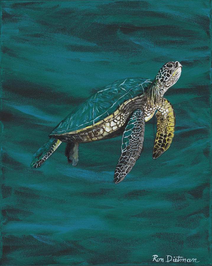 Beautiful Little Green Sea Turtle Painting by Ron Dietman - Fine Art ...