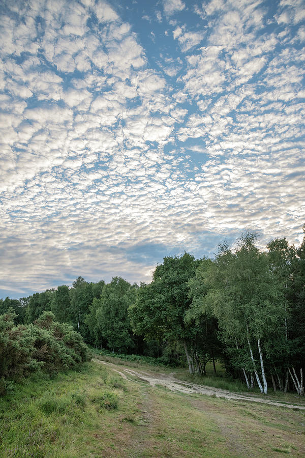 Beautiful mackerel sky cirrocumulus altocumulus cloud formations