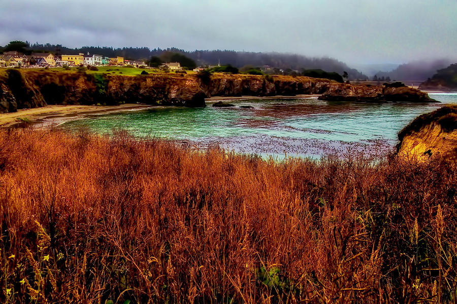Beautiful Mendocino Landscape Photograph by Garry Gay